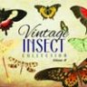 110 винтажных насекомых, векторная графика