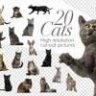 20 кошек - вырезанные изображения