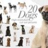 20 собак - вырезы в высоком разрешении