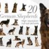 20 немецких овчарок - вырезанные картинки