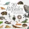 20 рептилий - вырезанные картинки