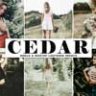 Cedar Mobile & Desktop Lightroom Presets