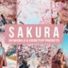 50 Sakura Lightroom Presets & LUTs