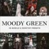 50 Moody Green Lightroom Presets & LUTs