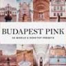 50 Budapest Pink Lightroom Presets & LUTs