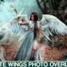 Белые крылья накладки Photoshop