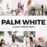 20 Palm White Lightroom Presets & LUTs