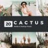 20 Cactus Lightroom Presets & LUTs