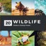 20 Wildlife Lightroom Presets & LUTs