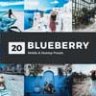 20 Blueberry Lightroom Presets & LUTs