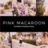 20 Pink Macaroon Lightroom Presets & LUTs