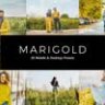 20 Marigold Lightroom Presets & LUTs