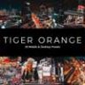 20 Tiger Orange Lightroom Presets & LUTs