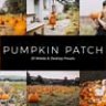 20 Pumpkin Patch Lightroom Presets & LUTs